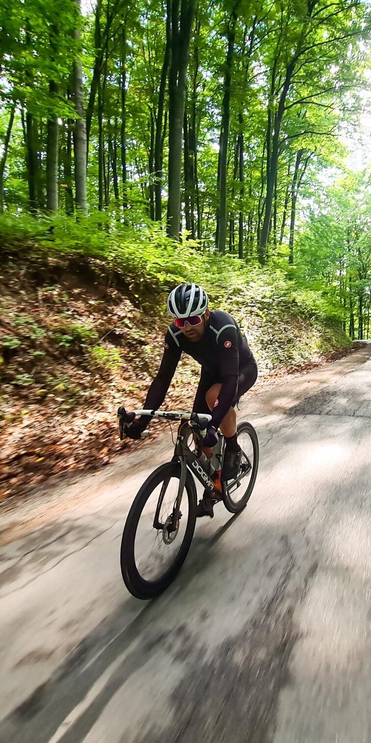 A rider in the forest