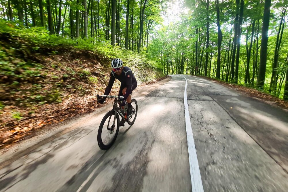 A rider in the forest